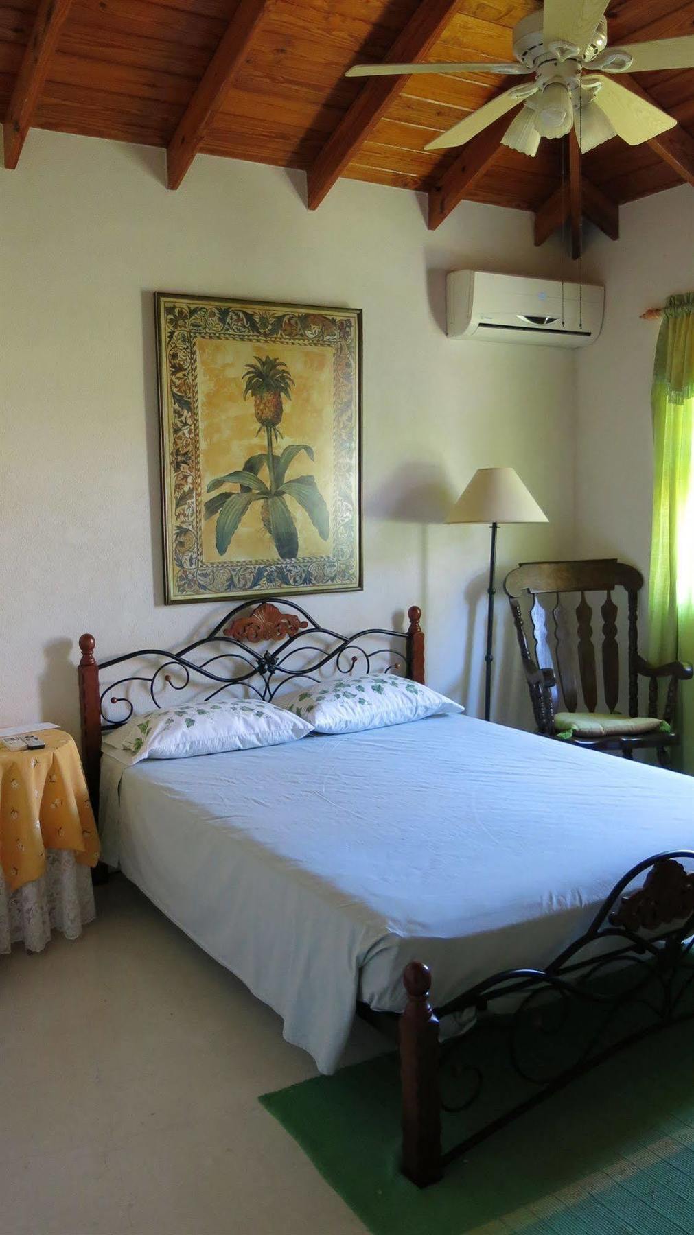 Gemini House Bed & Breakfast Christ Church Kültér fotó