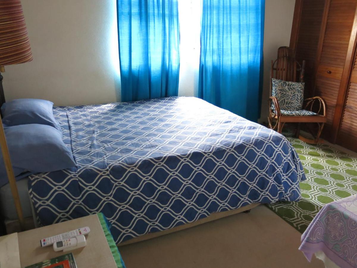 Gemini House Bed & Breakfast Christ Church Kültér fotó