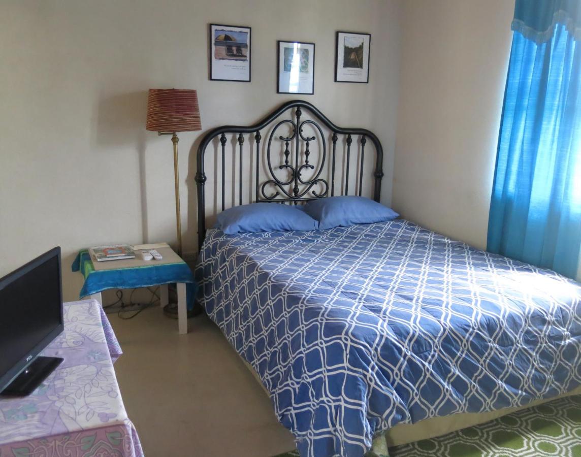 Gemini House Bed & Breakfast Christ Church Kültér fotó